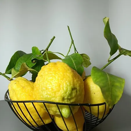 Clio's House - Hébergement de vacances