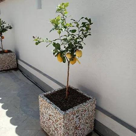 Hébergement de vacances Clio's House - *